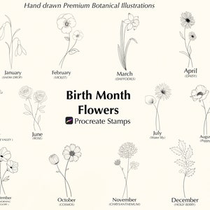 May include: A black and white illustration of flowers representing each month of the year. The flowers are labeled with their common name and the month they represent. The text "Birth Month Flowers" is at the top of the image, and the text "Procreate Stamps" is below it.