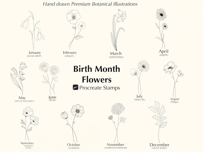 May include: A black and white illustration of flowers representing each month of the year. The flowers are labeled with their common name and the month they represent. The text "Birth Month Flowers" is at the top of the image, and the text "Procreate Stamps" is below it.