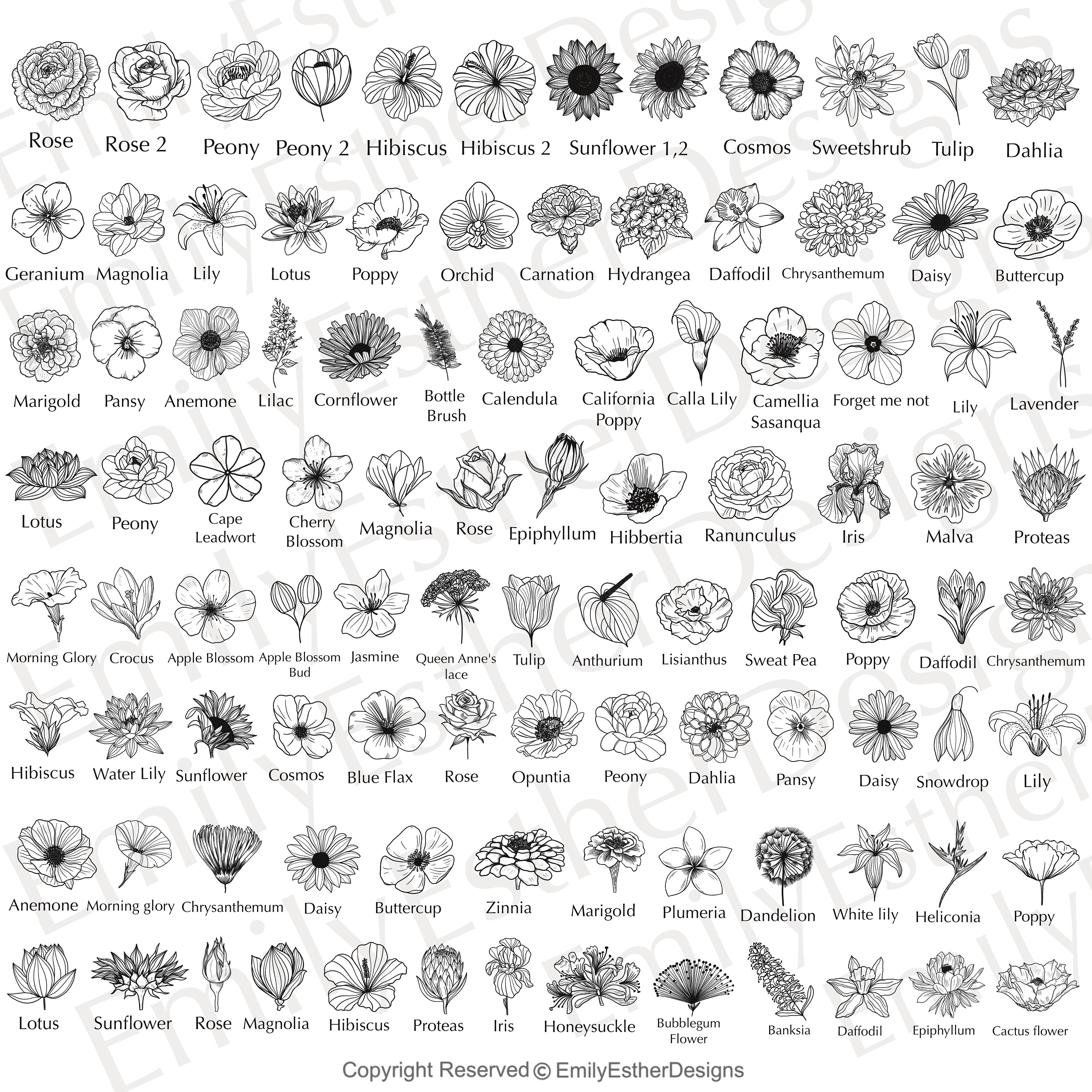 100 Procreate Flower Stamps Procreate Flower Stamps Floral Procreate  Procreate Botanical Flower Stamps Procreate Flower Brushes 