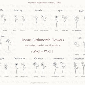 Geboortemaand bloem svg-bundel, geboortemaand bloem clipart, geboortemaand bloem svg, geboortebloemen, roos svg, klaproos svg, madeliefje svg