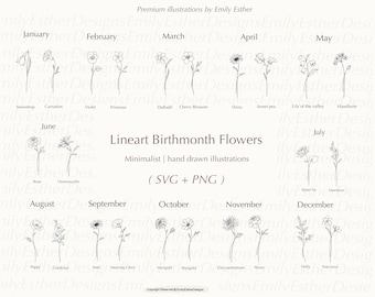 Paquete SVG de flores del mes de nacimiento: Imágenes prediseñadas de arte lineal (PNG, SVG)