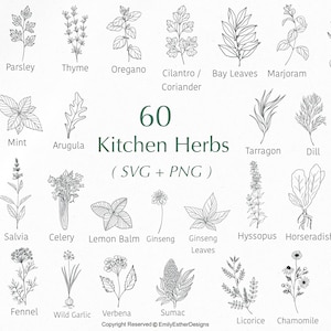60 bundle di erbe aromatiche da cucina svg, cucina svg, erbe svg, fattoria svg, lavanda svg, foglie svg, file svg per cricut, uso commerciale svg