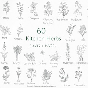 60 Kitchen herb Svg Bundle | Kitchen svg | Herb Svg | Farmhouse svg | Lavender svg | Leaves svg | Svg files for cricut | Commercial use svg