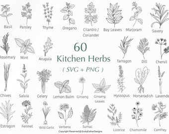 60 Kitchen herb Svg Bundle | Kitchen svg | Herb Svg | Farmhouse svg | Lavender svg | Leaves svg | Svg files for cricut | Commercial use svg