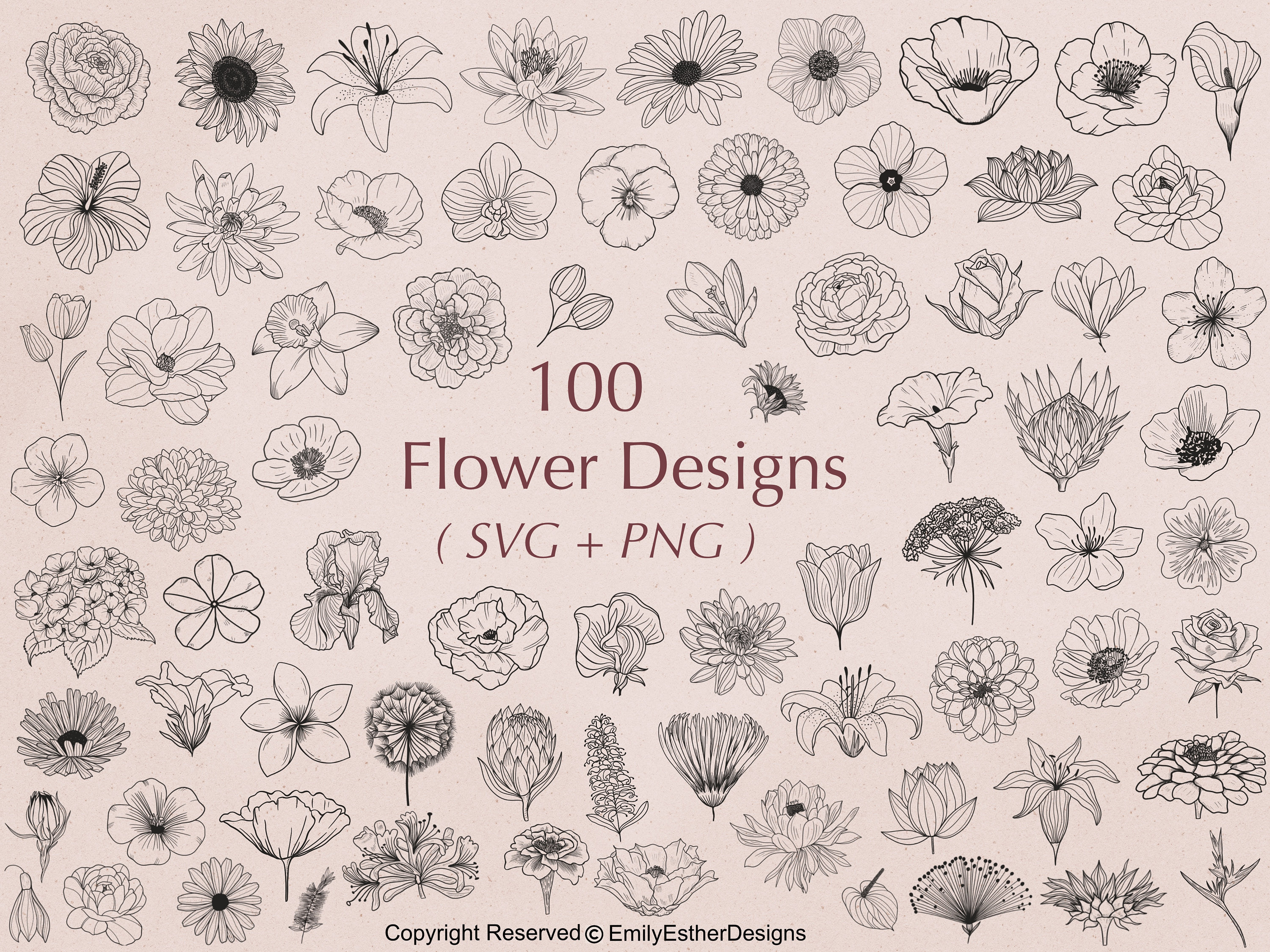 100 Flower SVG Bundle, Floral Clipart & Hand-Drawn Flower SVGs, Plant SVG Designs