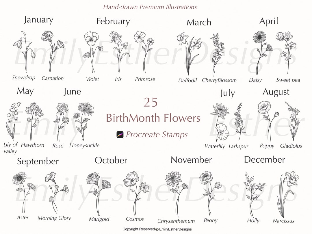 Birth Month Flower Stamps: Procreate Floral Brush Set (commercial Use ...