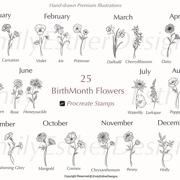 Birth Month Flower Stamps |Procreate Flower Stamps | Procreate Birth Month Flowers| Procreate Brushes | Floral Stamp | Commercial use stamps