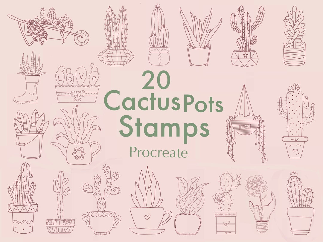 Potted Cactus Procreate Stamps: Succulent Brush Set (commercial Use) - Etsy