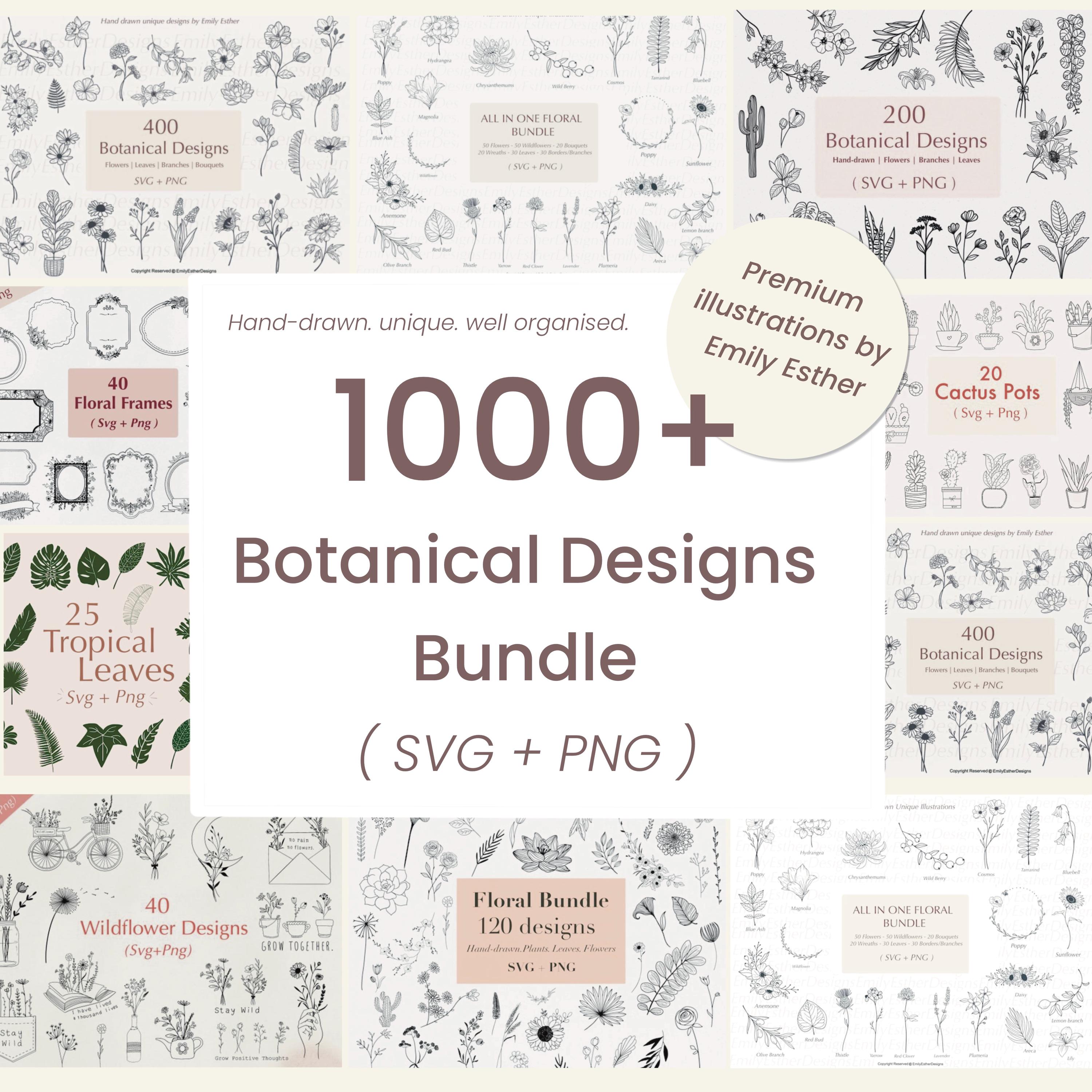 Botanical SVG Bundle, Floral & Flower Clipart, Leaves and Branches Svgs ...