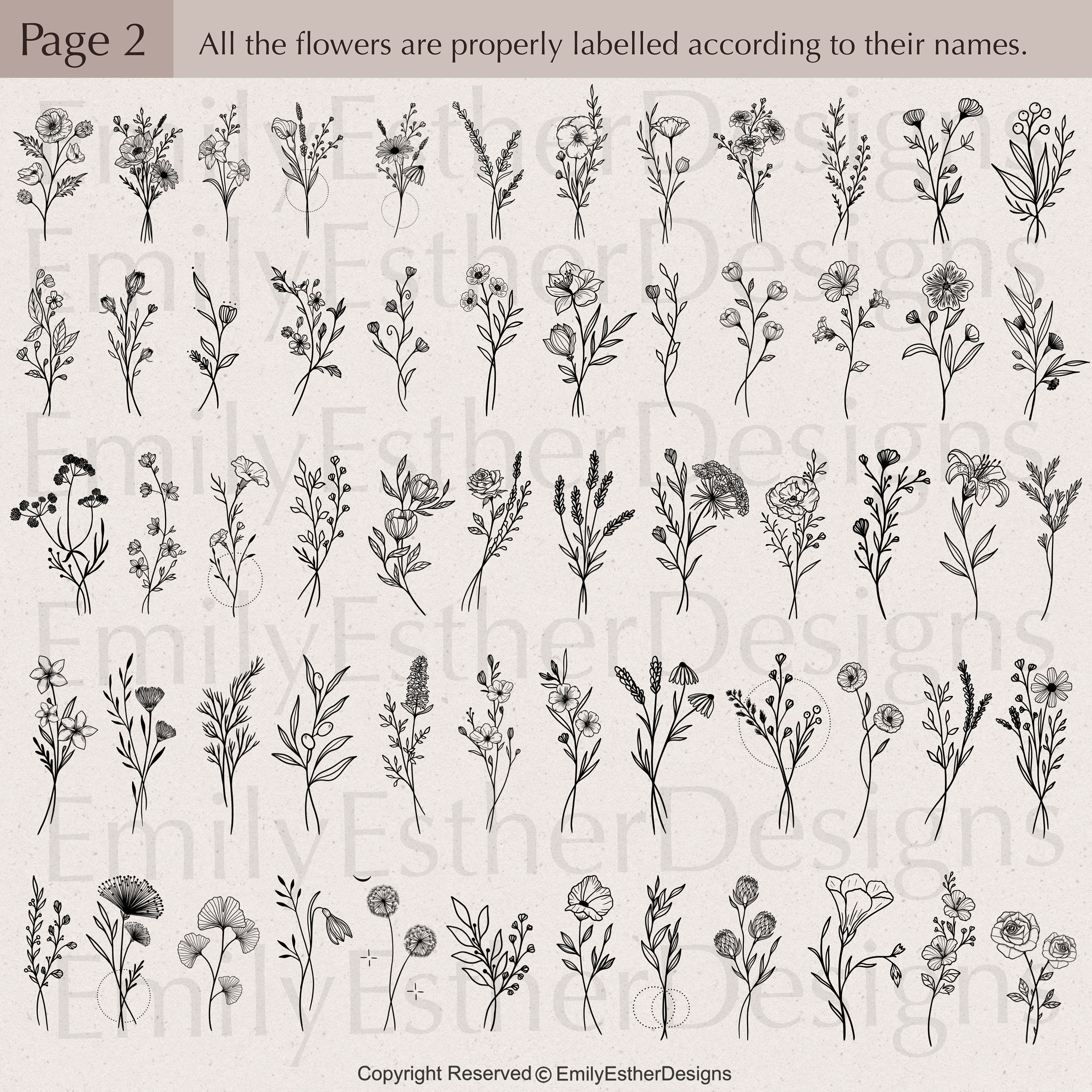 120 Flower Bouquet Procreate Stamps: Floral Botanical Brushes - Etsy ...