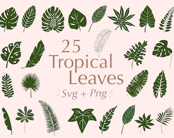 May include: A set of 25 tropical leaf illustrations in green and white. The leaves are in various shapes and sizes, and are perfect for adding a touch of tropical flair to your designs.  "25 Tropical Leaves Svg + Png" is written in brown text.