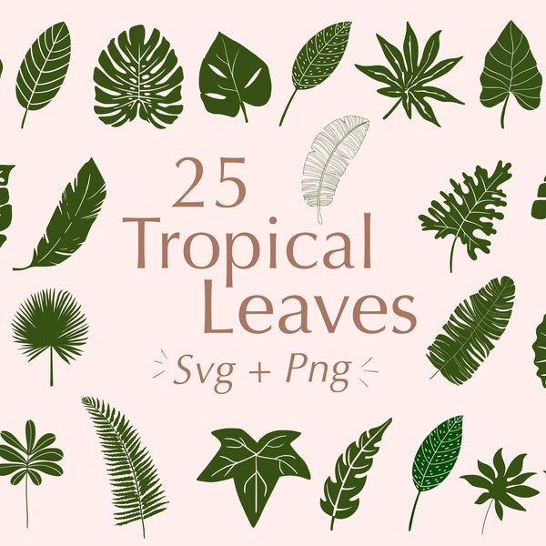 Tropical Leaves Svg | Leaf Svg | Monstera Leaf Svg | Jungle leaf svg | tropical leaf cutfiles | Cricut | Silhouette