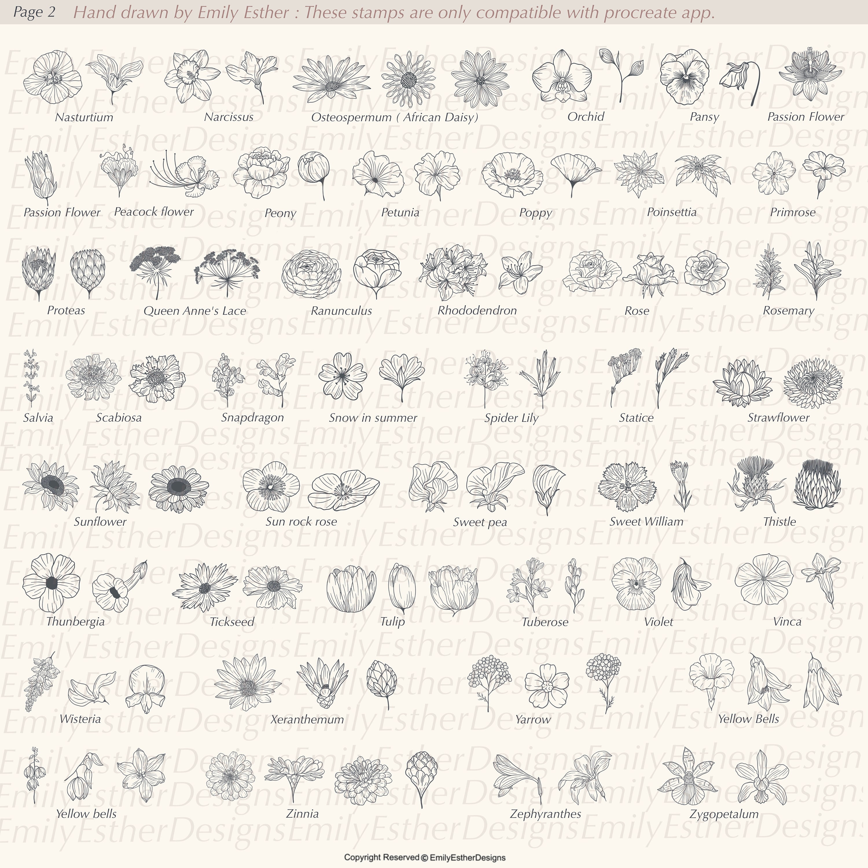 200 Procreate Flower Stamps: Botanical Brush Set (digital Download) - Etsy