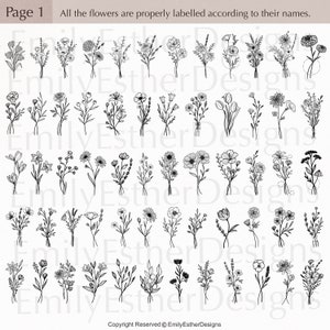 120 Blombukett SVG-paket: Bröllopsblommor (Kommersiellt bruk) bild 2