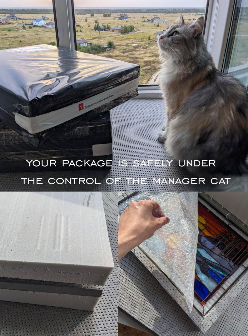 May include: A gray and white cat sits on a windowsill, watching a package being carefully packed. The package is wrapped in bubble wrap and secured with tape. The text "YOUR PACKAGE IS SAFELY UNDER THE CONTROL OF THE MANAGER CAT" is visible in the image.
