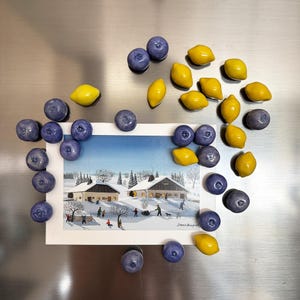 Ceramic Fridge Decor – Handmade Lemon or Blueberry – Stoneware Kitchen Accessory – Fruit Lover Gift