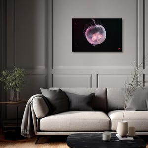 Pink Jellyfish Wall Art | Ethereal Ocean Photography Print