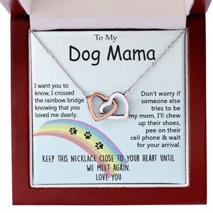 Verlies van hond herdenkingsketting, aan mijn hond mama, totdat we elkaar weer ontmoeten ketting, hond verlies aandenken, Rainbow Bridge hond, huisdier sympathie cadeau dogmom
