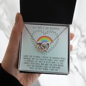 Rainbow Bridge kat herdenkingsketting, aan mijn kat mama, totdat we elkaar weer ontmoeten ketting, kat verlies aandenken, verlies van huisdier, huisdier sympathie cadeau kat mama