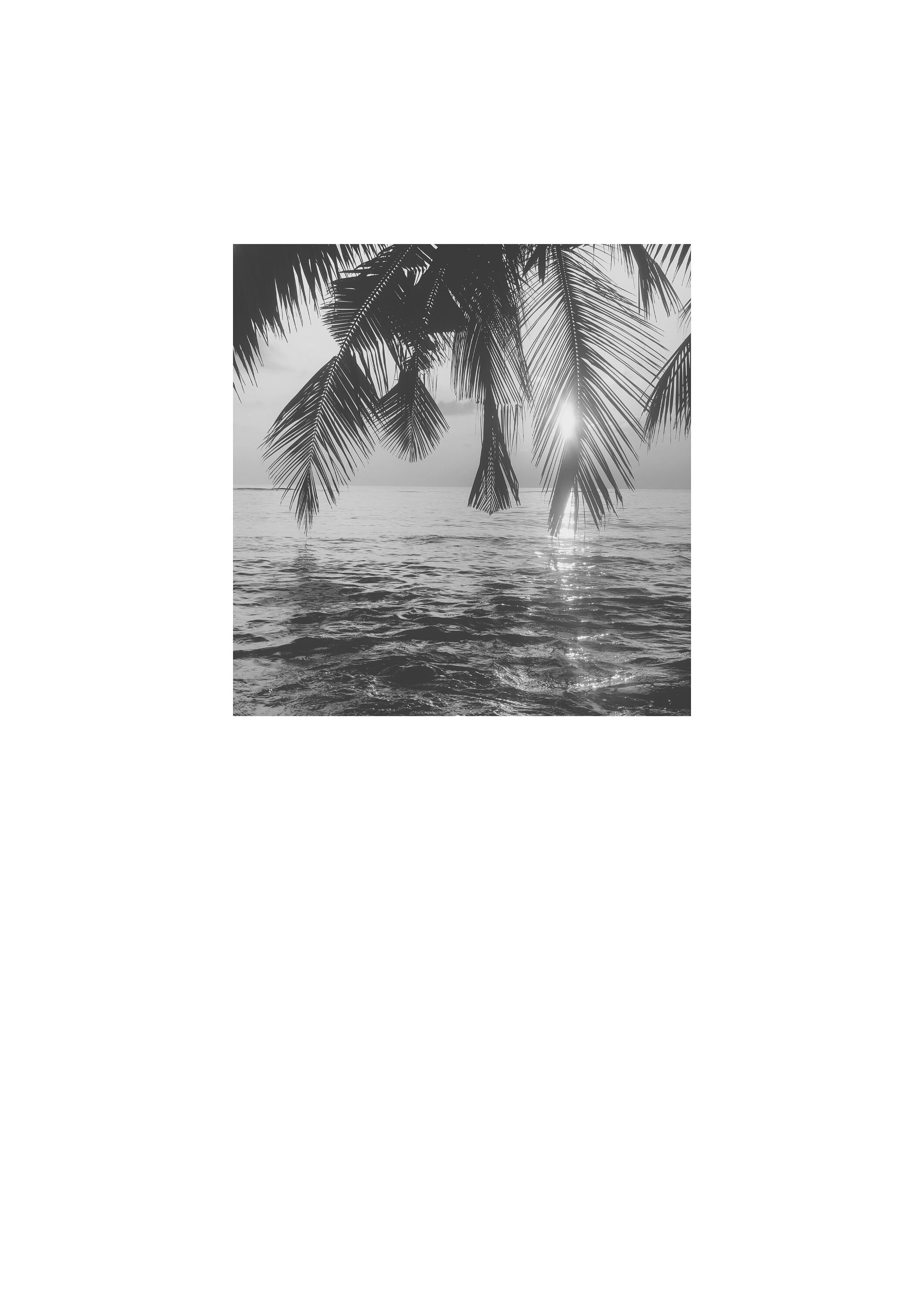 Set of 3 Prints Black and White Art Prints Set Wall Art Etsy