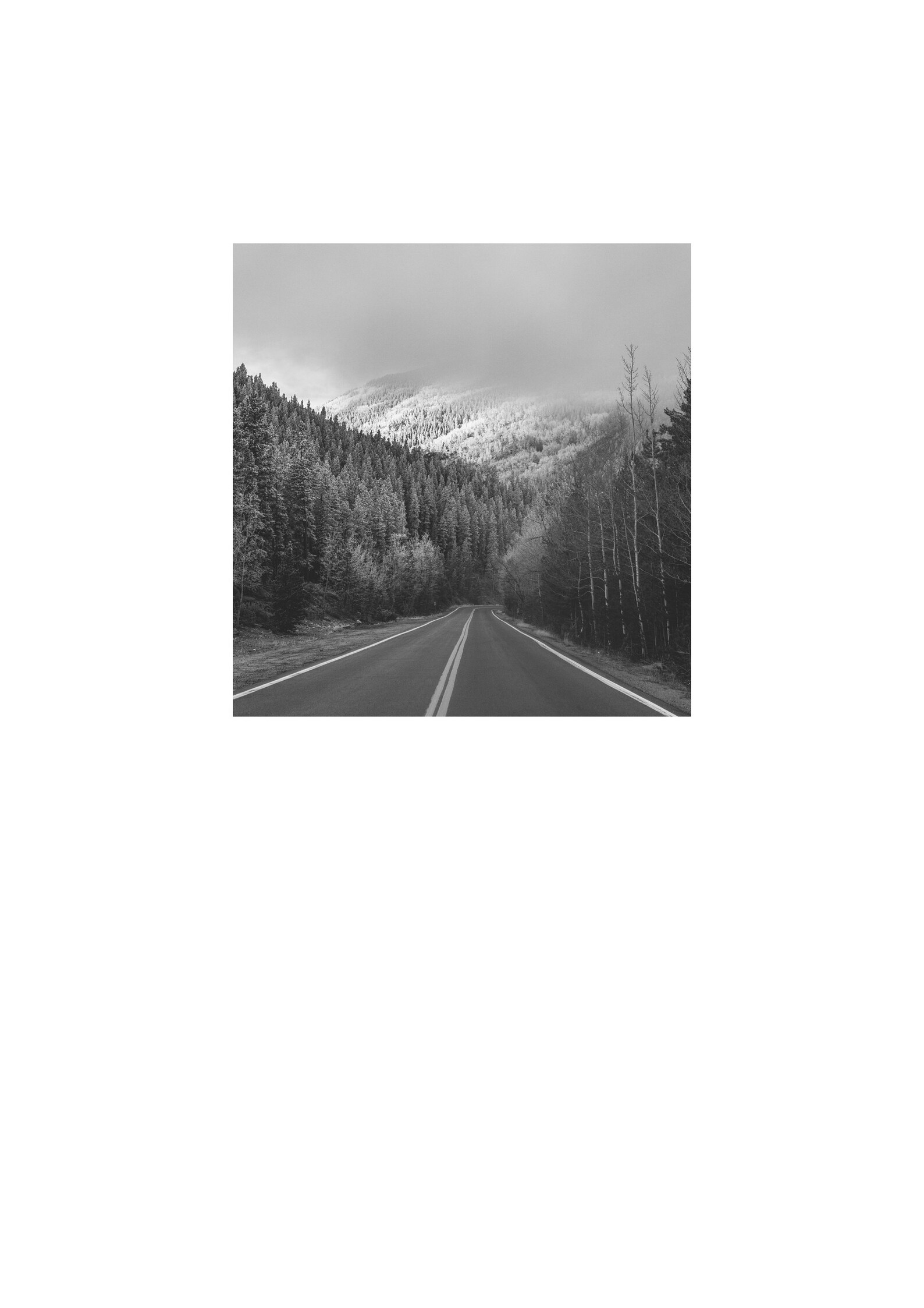 Set of 3 Prints Black and White Art Prints Set Wall Art Etsy