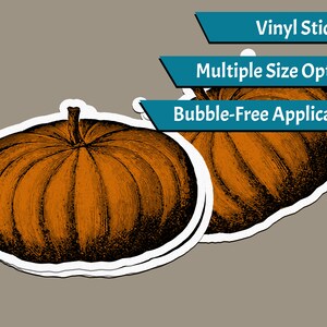 Halloween Sticker - Pumpkin - Pumpkin Sticker, Artistic Sticker, Orange Sticker, Fruit Sticker, Fall Sticker, Thanksgiving Sticker