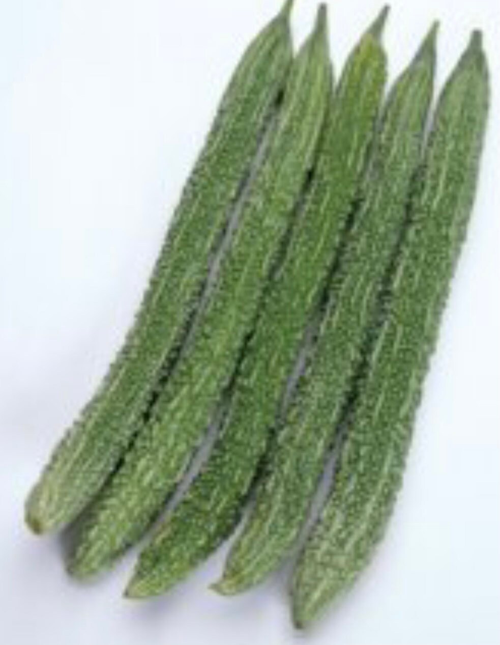 Japanese Bitter Gourd Long Seeds 10 Seeds Etsy