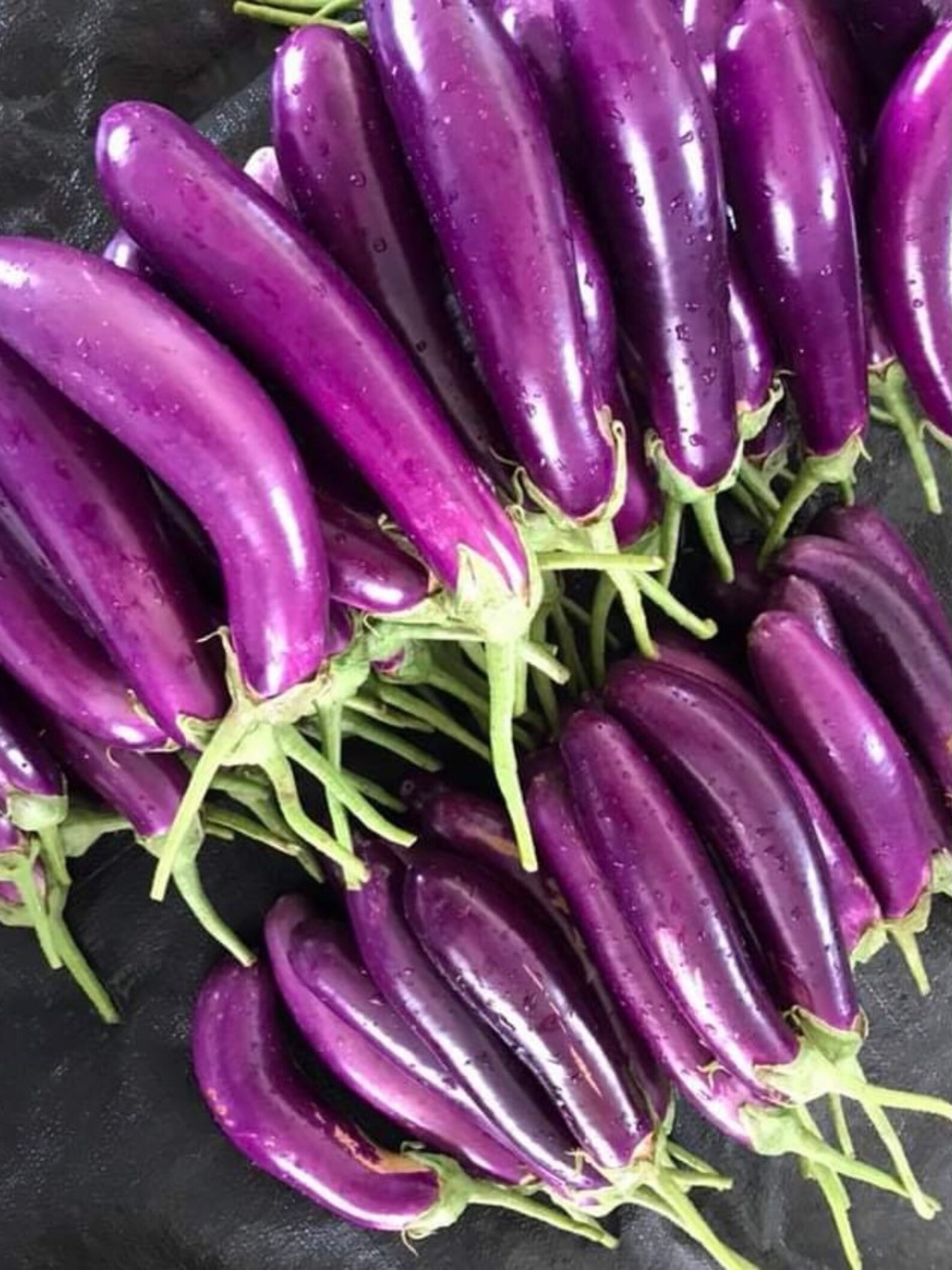 deep purple eggplant dark purple hair deep purple eggplant dark purple hair