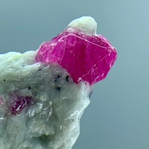 May include: A set of three ceramic mugs with a speckled, cream-colored glaze. Each mug features a different hand-painted design: a blue and green leaf, a yellow flower, and a red berry. The mugs have a simple, rounded shape and a comfortable handle.