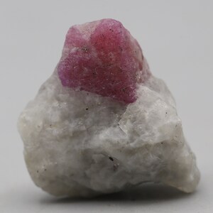Puede incluir: Un cristal de rubí en bruto, que muestra un vibrante tono rojo sobre una matriz de piedra blanca y gris. La textura rugosa y la forma natural de la gema son evidentes, destacando su belleza orgánica. Este espécimen mineral es un ejemplo llamativo de rubí natural.