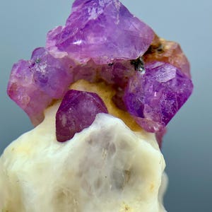 May include: A raw mineral specimen featuring clusters of translucent, vibrant purple crystals growing atop a textured, opaque white and cream-colored base. The crystalline structure displays sharp, angular facets with varying shades of violet.