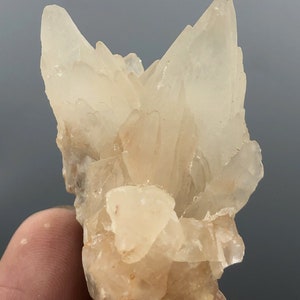 41 GM Natürliche Feine Qualität Dogtooth Calcit Mit Fluorit Probe @ Pakistan