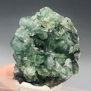 May include: A cluster of green fluorite crystals. The crystals have a translucent quality, with varying shades of green and a hint of blue. The base of the cluster is a dark, almost black color, providing a contrast to the lighter crystals.