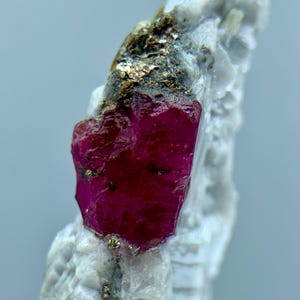 May include: A striking, deep red ruby crystal is set within a matrix of white and gold-flecked rock. The ruby has a textured surface, reflecting light. The mineral specimen is displayed against a soft, blurred background.