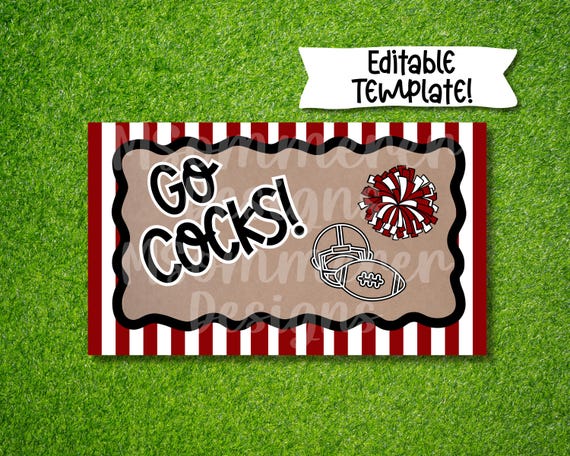 Editable Football Season Banner Template | Sports Team Canva Design  | Custom Party Sign | Hand Painted DIY Digital Download | Gamecocks