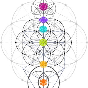 Può includere: Un'illustrazione geometrica dei sette chakra, con ogni chakra rappresentato da un colore e un simbolo diverso. I chakra sono disposti in una linea verticale, con il chakra radice in basso e il chakra corona in alto. L'illustrazione è circondata da un motivo di fiore della vita.