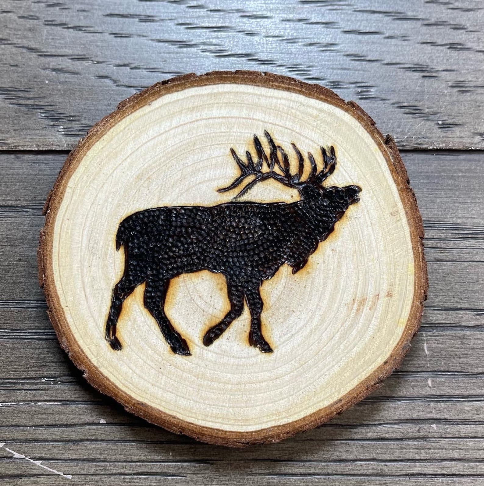 Yellowstone Bison Buffalo Elk Moose Bear Wood Burned Coasters Set of 4