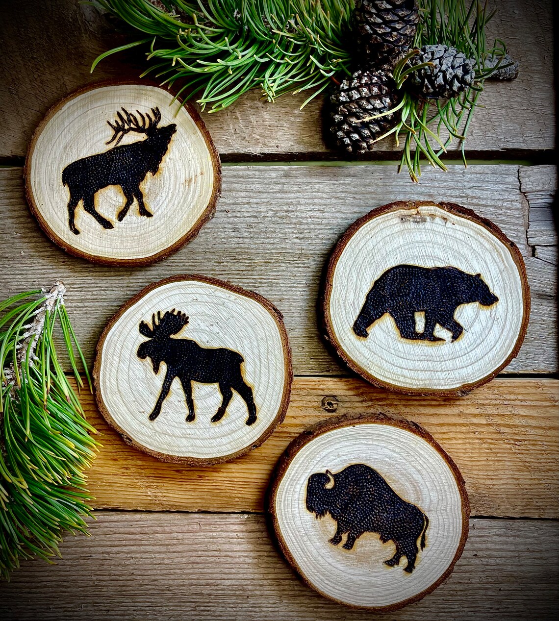 Yellowstone Bison Buffalo Elk Moose Bear Wood Burned Coasters Set of 4