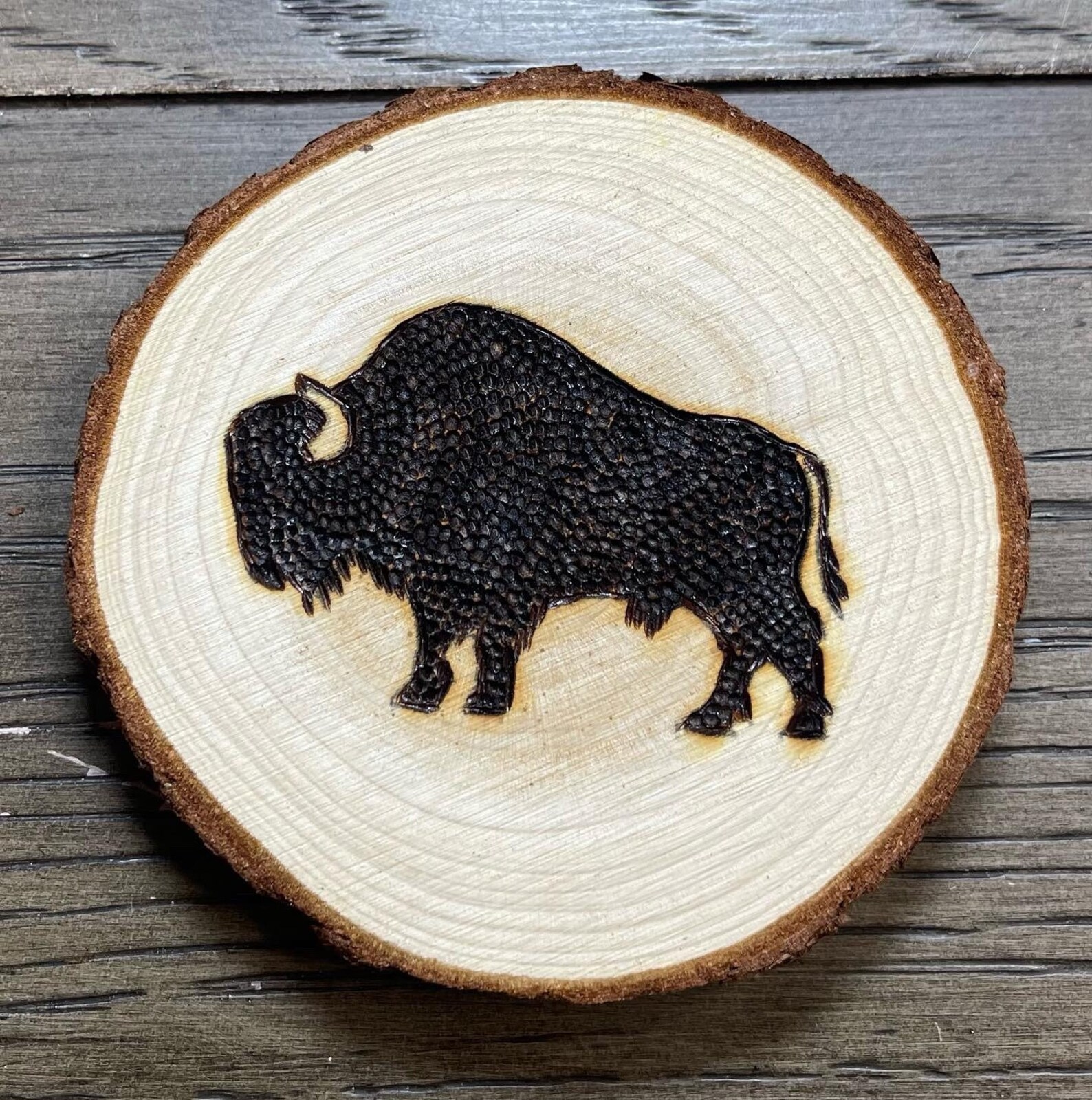 Yellowstone Bison Buffalo Elk Moose Bear Wood Burned Coasters Set of 4