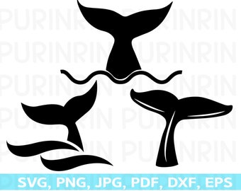 Free Free 87 Shark Tale Svg SVG PNG EPS DXF File