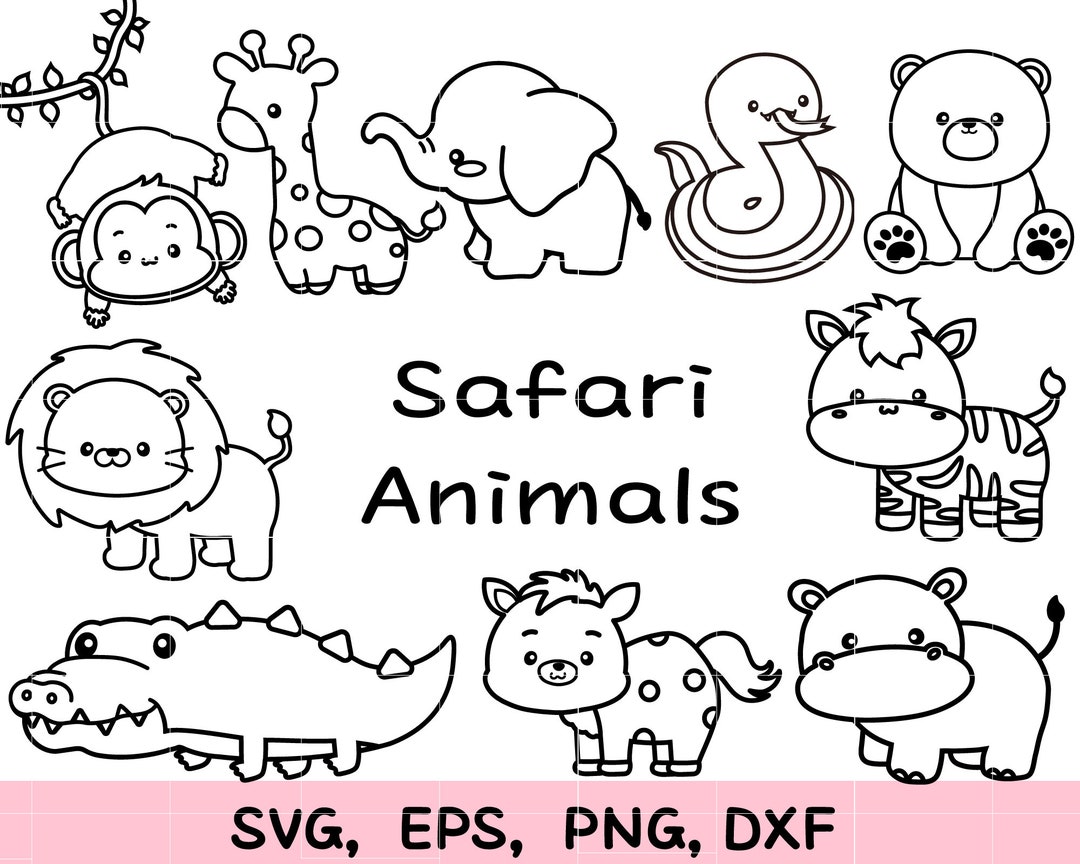 Animal Kingdom Svg,outline,coloring Pages, Silhouette Svg Cut File - Etsy