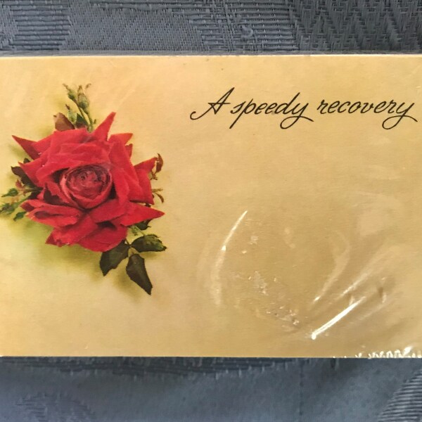 Gifts for Florist 60+ Gift Ideas for 2024