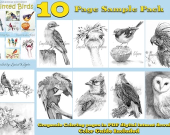 Painted Birds 10 Page Adult Greyscale Coloring Sampler Pack high resolution 8.5 x 11 instant download printable PDF