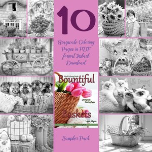 Könnte beinhalten: Eine Collage aus 10 Graustufen-Malvorlagen mit Körben, die mit verschiedenen Gegenständen gefüllt sind, darunter Blumen, Früchte, Welpen und Kätzchen. Der Titel des Malbuches lautet "Bountiful Baskets" und es ist ein Probierpaket mit 48 Graustufen-Malvorlagen.