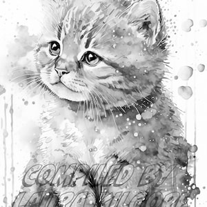 Kitty Single Coloring Page in Greyscale from Splatter Art Book in High Resolution 8.5 x 11 instant download printable PDF with Guide