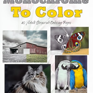 Monochrome to Color Adult Greyscale Coloring Book 48 Full Pages with Color Guide high resolution 8.5 x 11 instant download printable PDF