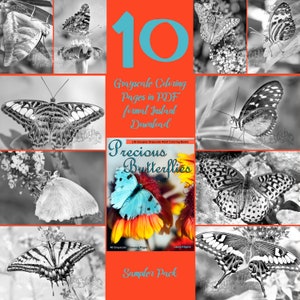 Precious Butterflies Grayscale Adult Coloring Book 10 Coloring Page Sampler Pack high resolution 8.5x11 instant download printable PDF