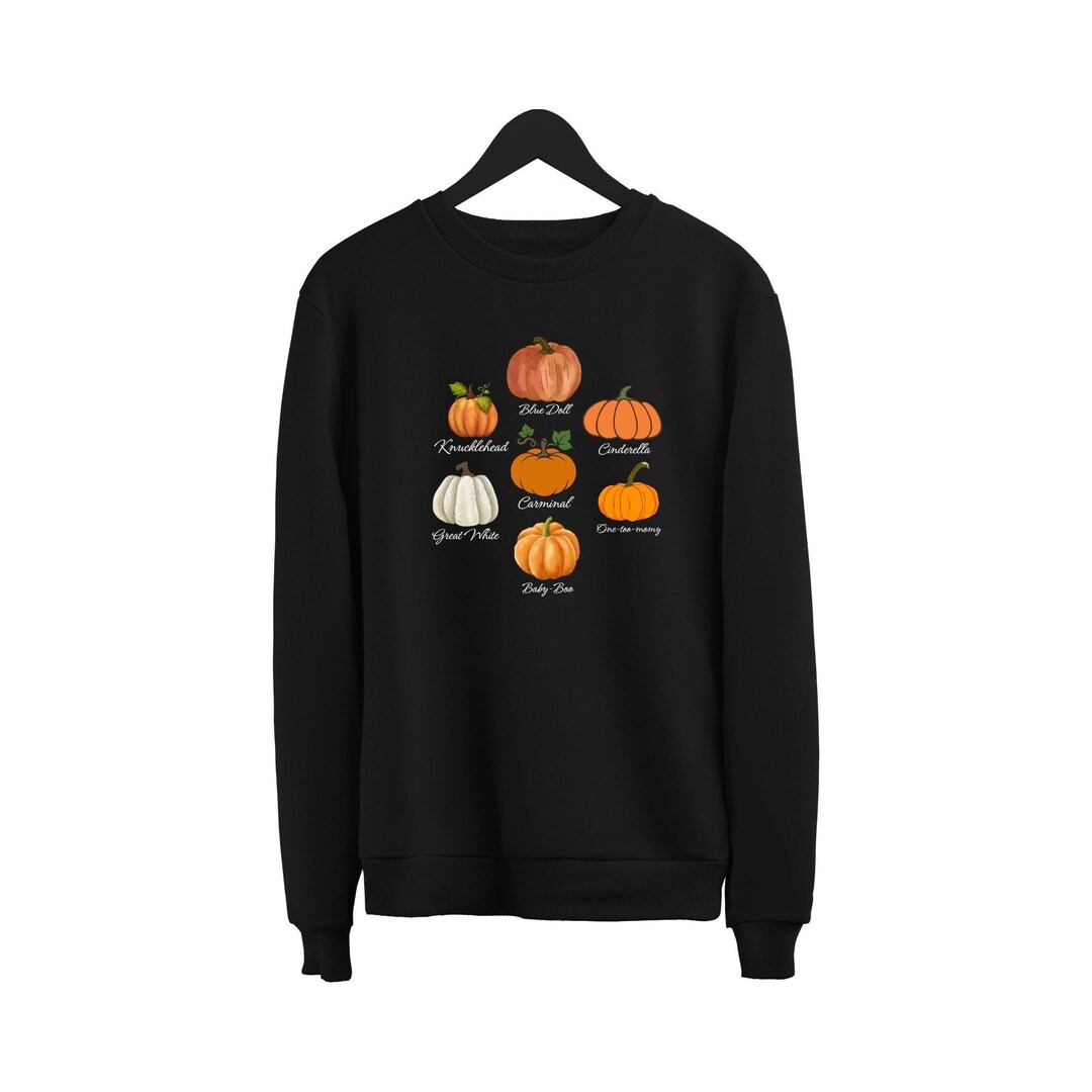 Type of Pumpkins Sweatshirt, Fall Pumpkin Festival Sweatshirt Cute