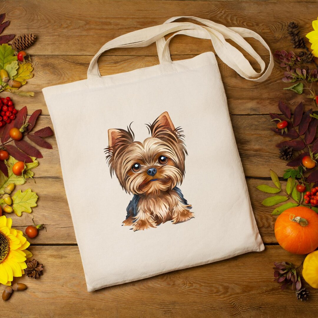 Rratto Di Yorkshire Terrier Sullo Sfondo Di Uno Studio Di Legno Bianco Su Natalizio Vacanza Davanti Una Corona E Un Pavimento Image162853429