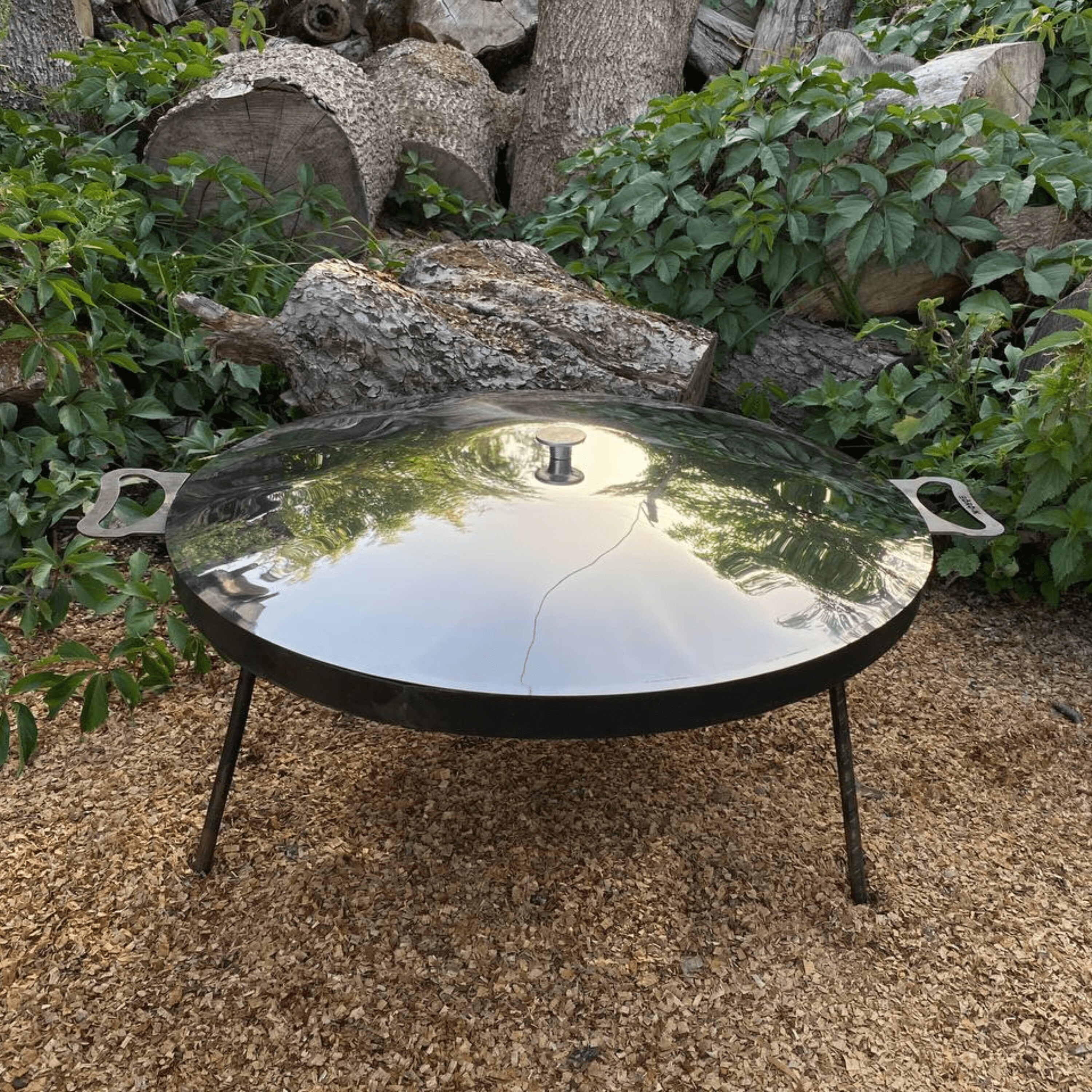 Electric Griddle Australia